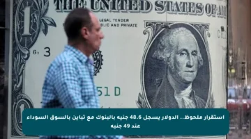 استقرار ملحوظ.. الدولار يسجل 48.6 جنيه بالبنوك مع تباين بالسوق السوداء عند 49 جنيه